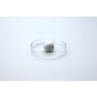 CollaOss Plug (이종골이식재)