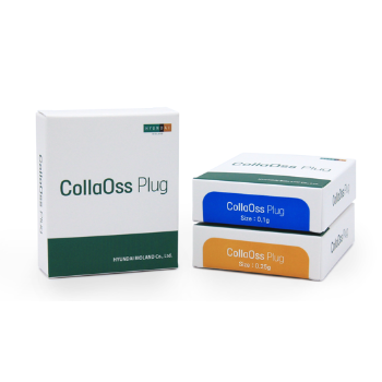 CollaOss Plug (이종골이식재)